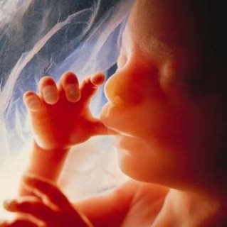 unborn child